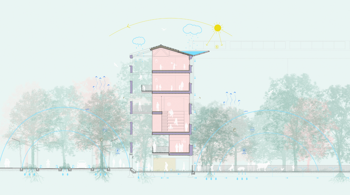Sección de reforma del Colegio Jesuitas Indautxu en Bilbao, por Crudo Arquitectura